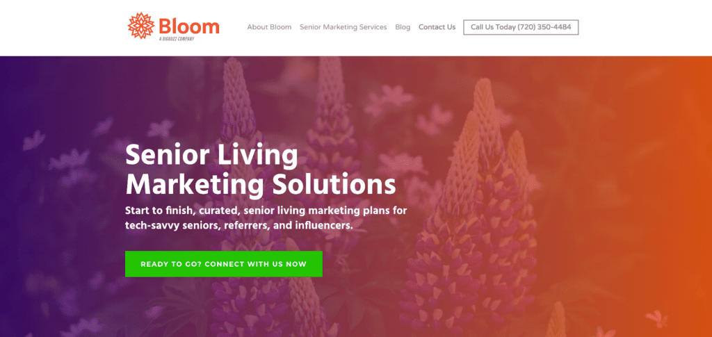 Bloom marketing is a senior living marketing agency 